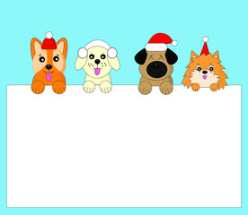 Cute dogs: corgi, pug, labrador, pomeranian keep white background