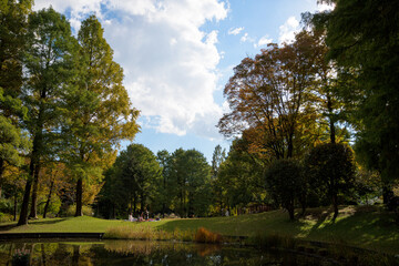 紅葉し始めた高木が、秋の陽射しに照らされている公園の風景
