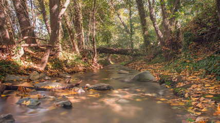 Rio Murtiga - Las Navas  - HUELVA