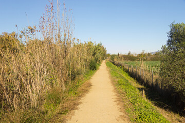 Dirt road at the arrival of the Llobregat river to the sea