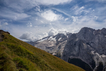 Flying birds with the Marmolada massif in the background. Dolomites. Italy.