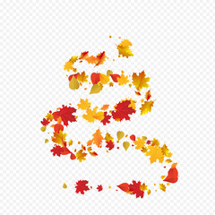 Orange Leaves Vector Transparent Background.