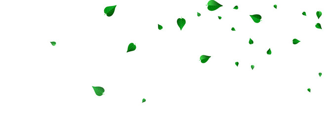 Forest Leaves Falling Vector Panoramic White