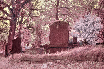 stare nagrobki na cmentarzu w zdjęciach w podczerwieni
