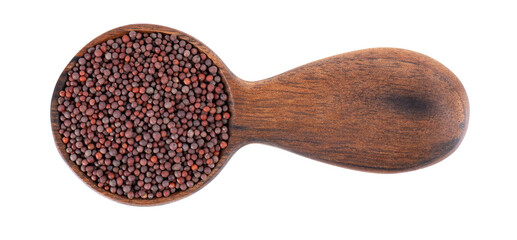 Black mustard seeds in wooden spoon, isolated on white background. Top view.