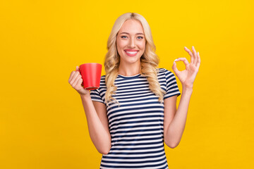 Photo portrait woman in casual clothes keeping mug of coffee showing okay sign isolated vivid yellow color background