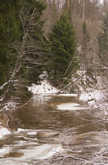 Small river Riezupe with ice in beautiful winter day.