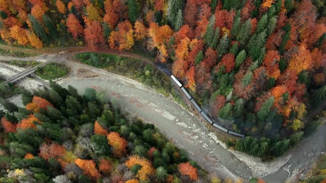 Aerial drone view of the moving steam train Mocanita in a valley along a river, hills covered with yellowing forest, Romania. Vertical view