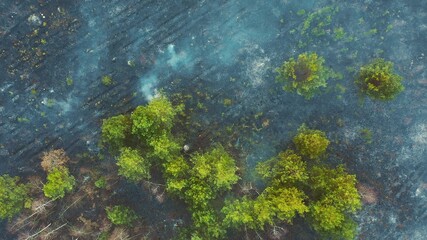 Aerial View. Spring Dry Grass Burns During Drought Hot Weather. Bush Fire And Smoke In Deforestation Zone. Wild Open Fire Destroys Grass. Nature In Danger. Ecological Problem Air Pollution