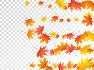 Fototapeta na wymiar Maple leaves vector illustration, autumn foliage on transparent background.