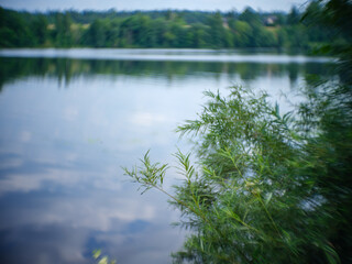 country forest lake in summer with deep blue water with reflections