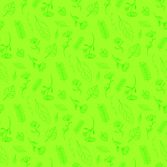 Light green background with green hand drawn decorative floral elements