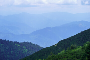 Fototapeta premium misty mountain tops in Slovenia national park