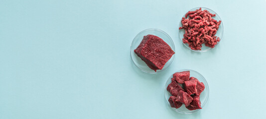 Lab grown meat concept - meat in petri dish