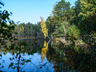 Obraz premium country forest lake in summer with deep blue water with reflections