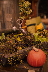 still life with pumpkin and leaves