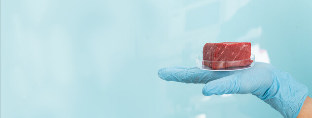 Lab grown meat concept - meat in petri dish - obrazy, fototapety, plakaty