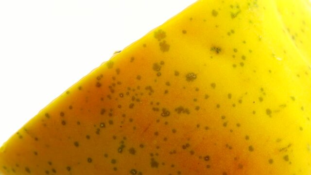 4K Half ripe papaya fruit with seeds. Fragrant tropical fruit pulp. Sweet fisolated resh papaw, raw vegan food isolated on white background