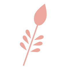 Bud with Leaf simple vector illustration. Grass nature