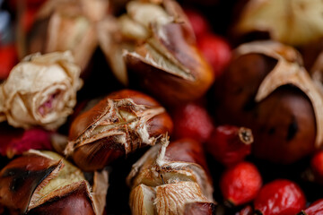 Close-up of chestnuts and red dry rose hips. Roasted delicious fresh chestnuts. Shallow depth of field. Top view.
