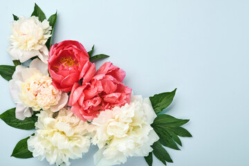 Beautiful red, pink and white peony flowers bouquet over blue background, top view, copy space, flat-lay. Valentines, Wedding and Mothers day background.