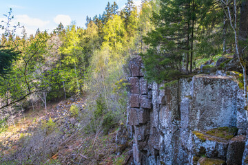 Fototapeta premium Rocky terrain in a woodland at spring