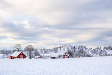 Farm on a field in a wintry landscape view