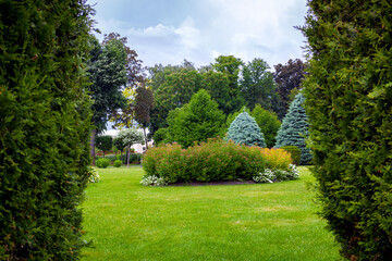 landscape desing of a park with a garden bed and trees with leaves and pine needles on a green lawn, evergreen and seasonal plants in the backyard look through thuja border.
