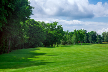 landscape design with hilly meadow covered with green grass at the edge of forest with tall deciduous trees on a sunny summer day with clouds in the sky, nature park lawn with copy space, nobody.