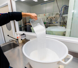 manufacture of artisan ice cream with fruit