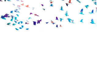 colored silhouettes of flying birds