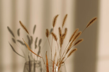 Obraz premium Close-up of beautiful creamy dry grass bouquet. Shadows on the wall. Silhouette in sun light. Selective focus. Floral home decoration.