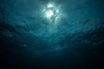 Sun with rays look from underwater
