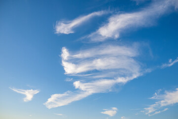 Small vortex clouds on a windy day