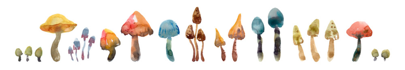 Forest mushrooms border. Multicolored mushrooms on white background for banner or design template. Edible forest mushrooms long banner. Ingredients for mushroom soup.