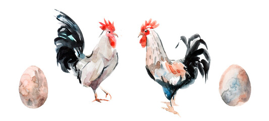 watercolor colorful rooster on white backgraund. set of colorful roosters and eggs © Маргарита Шевчишена