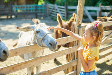 Little girl in contact farm zoo with donkeys in the countryside, a farm