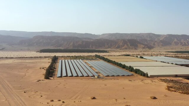 4K Birds Eye View of Solar Panels Farm or solar cell with sunlight. Small green energy Solar Farm field for producing alterative clean energy electric in the desert of Israel, Kibbutz Lotan next to