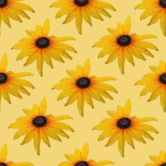 Yellow flower seamless pattern. Yellow flower texture. 