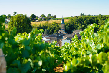 Saint Julien village and raod in Beaujolais land, France