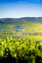 Madone de Fleurie et son vignoble, Beaujolais, France