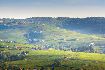 Madone de Fleurie et son vignoble, Beaujolais, France