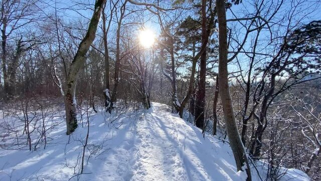 Winter auf der schw&auml;bischen Alb - Waldweg Richtung Burg Hohenneuffen 