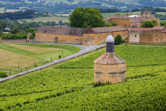 Landscape and village of Bagnols, Beaujolais