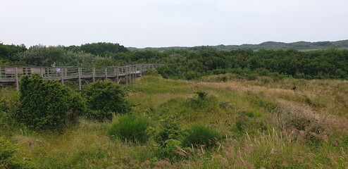 Sommerurlaub auf Juist