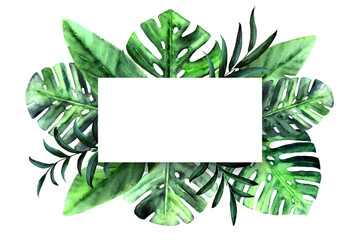 Obraz premium Botanical nature rectangle frame with watercolor tropical leaves on white background. Monstera, palm, banana green leaves. Place for text. Flat lay design.