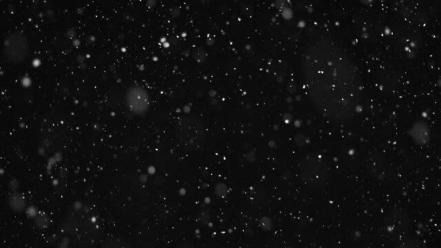 slow falling snow on the black backgrounds