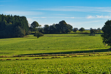 Fototapeta na wymiar Forest and meadows view from Saarland on a sunny day.