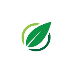 Logos of green leaf ecology nature