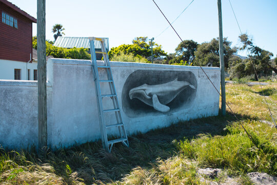 Ladder leaning on wall with creative whale mural painting during sunny day